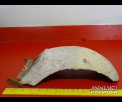 VARI PARAFANGO HARLEY DAVIDSON CUSTOM - 12