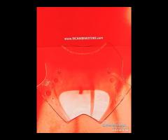 CUPOLINO PARABREZZA YAMAHA TMAX T-MAX 530 - 7