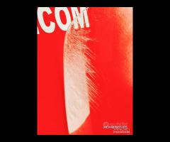 CUPOLINO PARABREZZA YAMAHA TMAX T-MAX 530 - 12