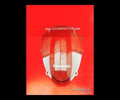 CUPOLINO PARABREZZA KAWASAKI ZX10R - 9