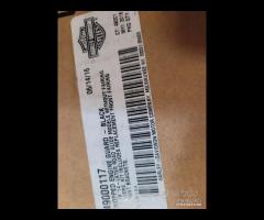 PARAMOTORE HARLEY DAVIDSON ROAD GLIDE - 9