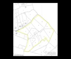 Rif.TA73|Terreno agricolo San Cataldo - 6