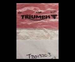 RAGGIO CERCHIO POST TRIUMPH AMERICA