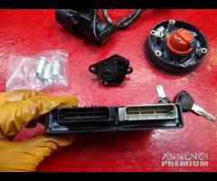 KIT ACCENSIONE TRIUMPH TIGER 1050 - 6