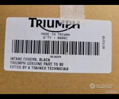 FIANCHETTI CARENE TRIUMPH SPEED TWIN - 7