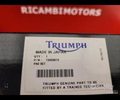 2 PASTIGLIE POST TRIUMPH TIGER SPRINT DAYTONA