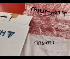 GUARNIZIONE ALTERNATORE TRIUMPH TIGER SPRINT