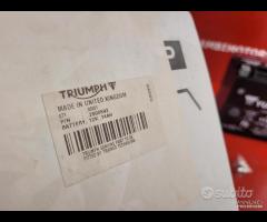 BATTERIA TRIUMPH TIGER 800