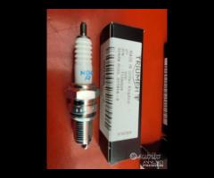 CANDELA ACCENSIONE TRIUMPH - 6