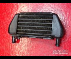 RADIATORE OLIO SX DX BMW R850R