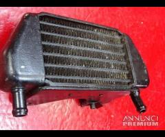 RADIATORE OLIO SX DX BMW R850R