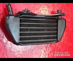 RADIATORE OLIO SX DX BMW R850R
