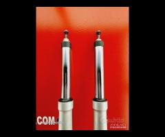 PERNO FORCELLE BMW R850R - 6