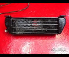 RADIATORE OLIO BMW K1200GT