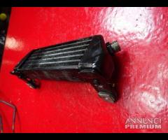 RADIATORE OLIO BMW K1200GT - 7