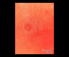 COPRI SELLA UNGHIA MONOPOSTO DUCATI MONSTER - 15