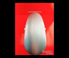 PARAFANGO DUCATI MONSTER - 14