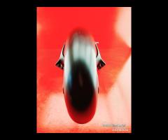 PARAFANGO DUCATI MONSTER - 18