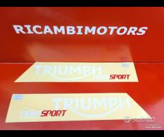 DECALCO ADESIVI TRIUMPH TIGER TRIPLE SPEED