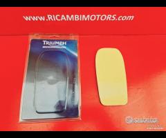 PARASERBATOIO TRIUMPH TIGER SPEED TRIPLE - 7