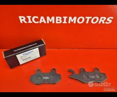 2 PASTIGLIE POST TRIUMPH TIGER SPRINT DAYTONA
