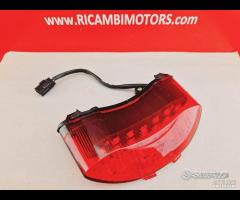 FARO STOP POSTERIORE TRIUMPH STREET TRIPLE 675