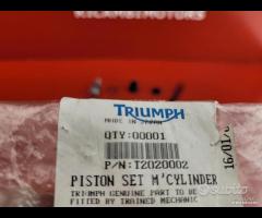KIT REVISIONE POMPA FRENO TRIUMPH TROPHY 900