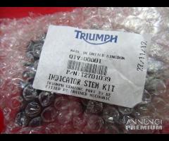 FRECCIA TRIUMPH