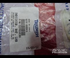 FRECCIA TRIUMPH