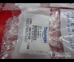 FRECCIA TRIUMPH - 12