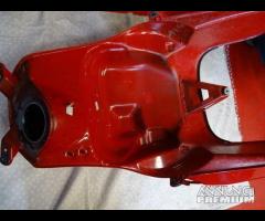 SERBATOIO TRIUMPH TIGER 1050 - 19