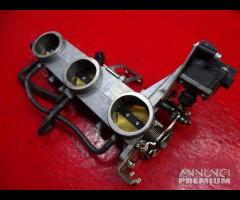 CORPO FARFALLATO TRIUMPH TIGER 1050 - 7