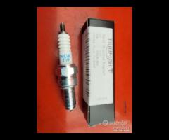 CANDELA ACCENSIONE TRIUMPH