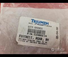 POGGIAPIEDI DX POST TRIUMPH - 6