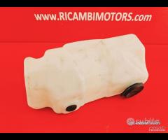 VASCHETTA LIQUIDI TRIUMPH STREET TRIPLE 675