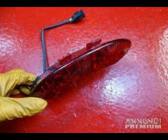 FARO STOP POSTERIORE TRIUMPH TIGER 1050