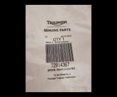RAGGIO TRIUMPH BONNEVILLE T100 THRUXTON