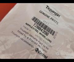 RAGGIO TRIUMPH BONNEVILLE T100 THRUXTON