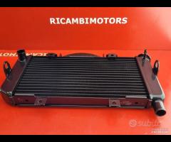 RADIATORE YAMAHA TDM 900