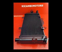 RADIATORE YAMAHA TDM 900