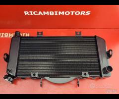 RADIATORE YAMAHA TDM 900