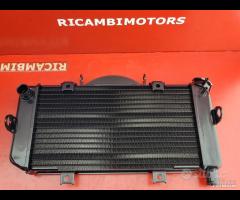 RADIATORE YAMAHA TDM 900 - 6