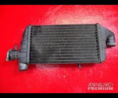 RADIATORE ACQUA SX BMW K1200GT
