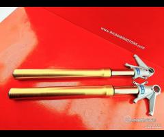 FORCELLA DUCATI 1098 1198 S R - 7