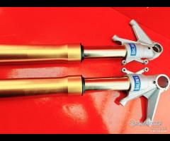 FORCELLA DUCATI 1098 1198 S R - 8