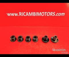 CUPOLINO DUCATI MONSTER 600 - 14