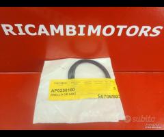 O-RING TESTA APRILIA RS125 RED ROSE PEGASO AF1