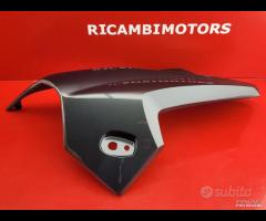 CARENA ANTERIORE SX BMW K1300R K 1300 SX
