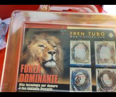 TUBI FRENO SUZUKI GSXR 600 - 8