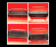 POGGIAPIEDI RADIATORE BMW R1200GS - 21